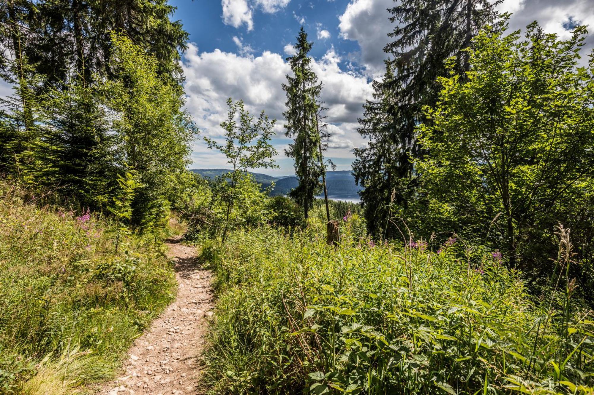 Haus Findling, 10 Personen, Schluchsee, Hochschwarzwaldkarte Buitenkant foto
